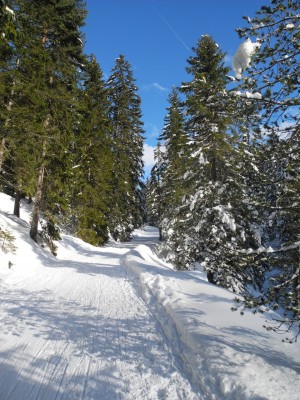 DSCN3489.JPG (615.72 KiB) 21468 mal betrachtet Oberer Abschnitt - Sonne!