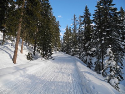 DSCN3491.JPG (651.76 KiB) 21467 mal betrachtet Oberster Abschnitt