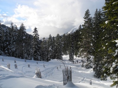 DSCN3494.JPG (673.64 KiB) 21807 mal betrachtet Ziel erreicht - Blick zurück