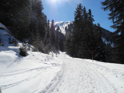 Die Rodelbahn im unteren Abschnitt