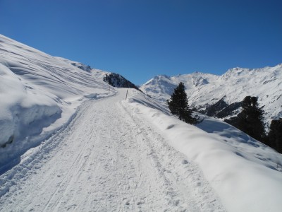 Oberhalb der Baumgrenze