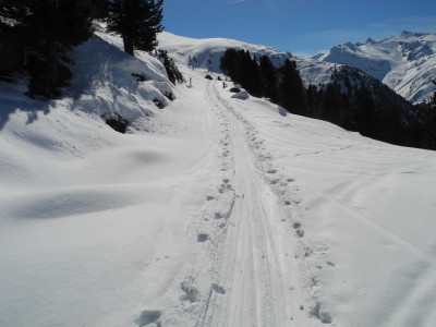 Gleich hinter der Hütte