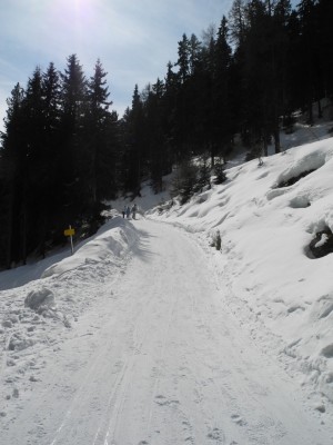 Rodelbahn im unteren Abschnitt