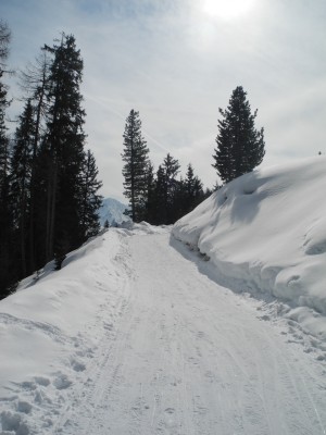 DSCN4200.JPG (761.21 KiB) 11200 mal betrachtet Knapp unterhalb der Brandstattalm