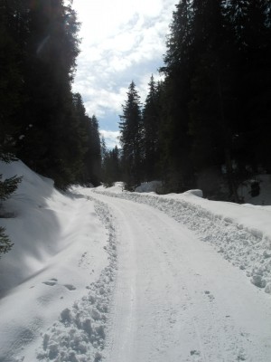 DSCN4233.JPG (708.43 KiB) 11262 mal betrachtet Die Strecke nach der Brücke