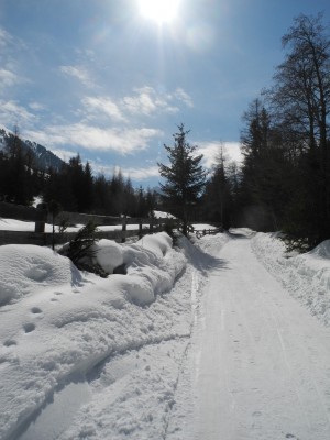 Winterstimmung im Frühjahr