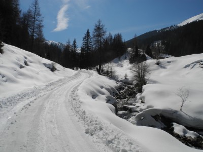 DSCN4247.JPG (762.26 KiB) 11416 mal betrachtet Einfach schön da!