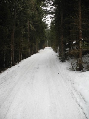 Am unteren Ende der Rodelbahn