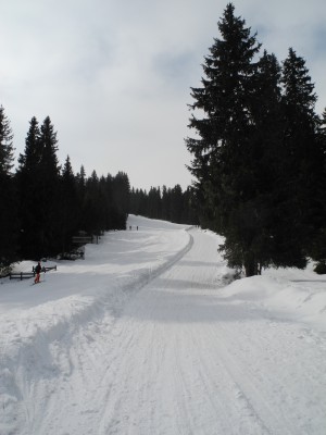 DSCN4282.JPG (697.73 KiB) 11466 mal betrachtet Hüttenboden