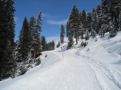 Oberhalb der Jagdhütte