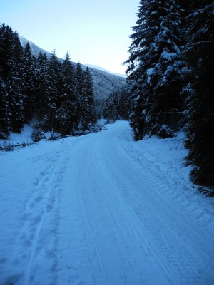 DSCN6189.JPG (641.67 KiB) 39550 mal betrachtet Rodelbahn im untersten Abschnitt