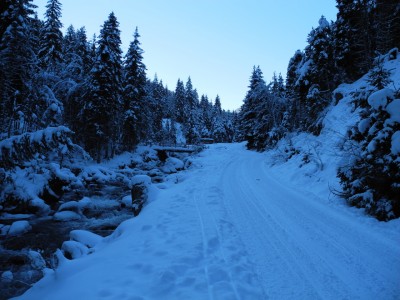 DSCN6195.JPG (740.64 KiB) 39804 mal betrachtet Schon ein Stück weiter