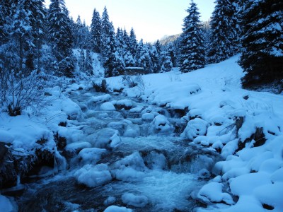 DSCN6196.JPG (655.13 KiB) 39545 mal betrachtet EIsig war heute nur der Fotscher Bach