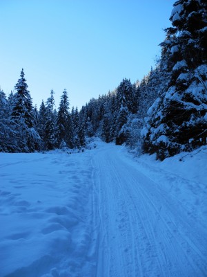 DSCN6197.JPG (609.03 KiB) 39804 mal betrachtet Bergheim kommt immer näher