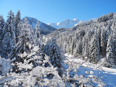 Blick von Bergheim