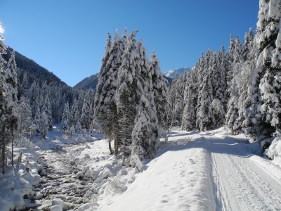 DSCN6215.JPG (601.38 KiB) 39545 mal betrachtet Gleich unterhalb von Bergheim