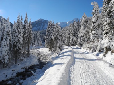 DSCN6219.JPG (593.84 KiB) 39808 mal betrachtet Noch einmal - weil es so schön ist