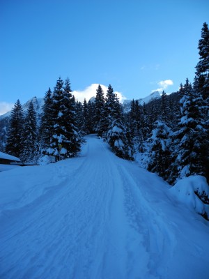 Beginn der Rodelbahn bei der Schafalm