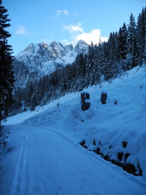 DSCN6225.JPG (381.78 KiB) 9415 mal betrachtet Ein kurzes Stück geht's neben der Schiabfahrt hinauf