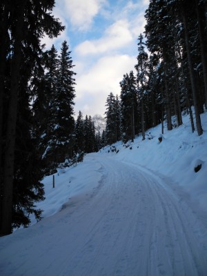 DSCN6230.JPG (385.58 KiB) 9343 mal betrachtet Im Abschnitt vor der 1.Kehre