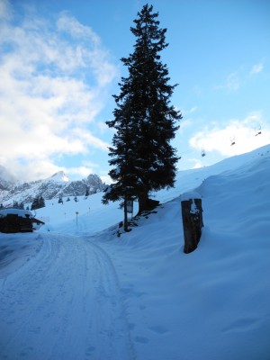 DSCN6239.JPG (451.56 KiB) 9414 mal betrachtet Die letzten Meter ...