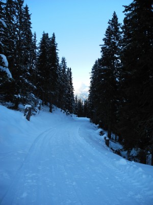 DSCN6241.JPG (388.69 KiB) 9343 mal betrachtet Der obere Start der Bahn