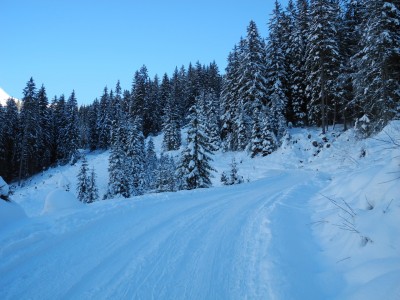 Am unteren Beginn der Rodelbahn