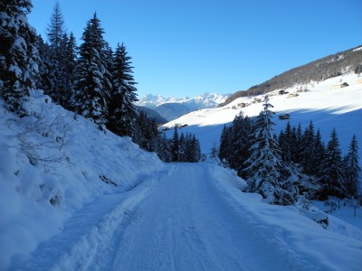 Blick hinaus ins Navistal (unterster Abschnitt)