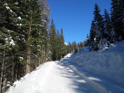 DSCN6254.JPG (708.57 KiB) 26919 mal betrachtet Ein Gleitstück im unteren Abschnitt