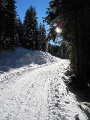 DSCN6259.JPG (449.62 KiB) 26681 mal betrachtet Sonnen schein im mittleren Abschnitt