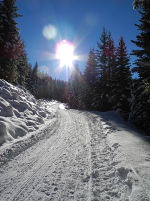 DSCN6260.JPG (433.05 KiB) 26919 mal betrachtet Sonne pur!