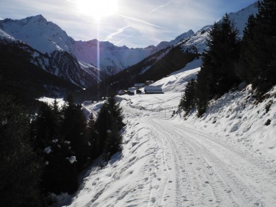 Unterer Start der Rodelbahn