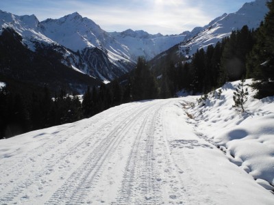 Die Rodelbahn im untersten Abschnitt