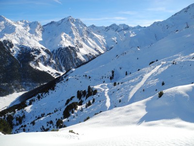 Ausblick vom Start der Rodelbahn