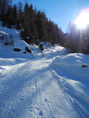 Die Rodelbahn im oberen Abschnitt