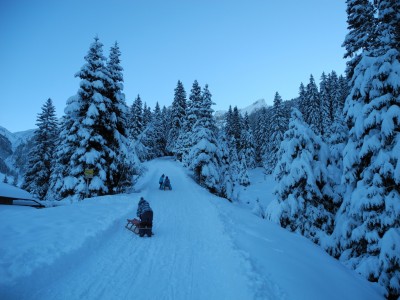 Am unteren Start der Rodelbahn