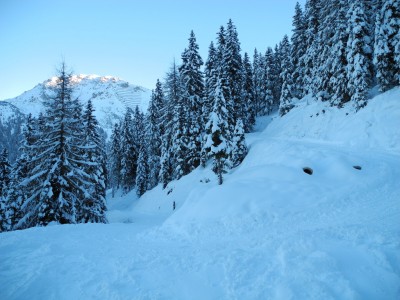 DSCN6494.JPG (466.79 KiB) 9622 mal betrachtet Die Kurve im mittleren Abschnitt