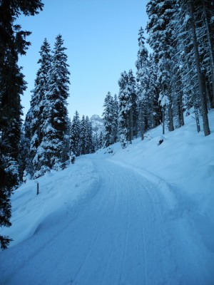 DSCN6499.JPG (287.63 KiB) 9798 mal betrachtet Die Gerade danach