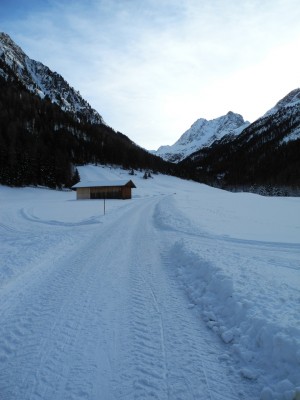 Am unteren Beginn der Rodelbahn