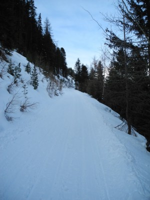 DSCN6607.JPG (378.29 KiB) 22294 mal betrachtet Nach der Abzweigung Richtung Nisslalm