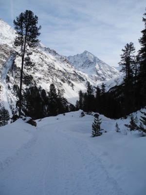 Blick auf den Sulzkogel