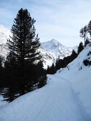 DSCN6634.JPG (365.23 KiB) 22296 mal betrachtet Bahn im obersten Abschnitt