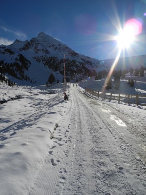 Rodelbahn am unteren Ende