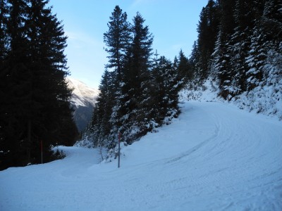 DSCN9526.JPG (1.17 MiB) 25364 mal betrachtet Etwas weiter oben