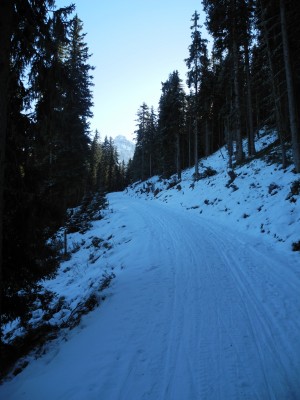 DSCN9573.JPG (1.08 MiB) 22564 mal betrachtet Etwas weiter oben ...