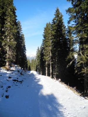 Knapp vor dem Ziel - der Blick zurück