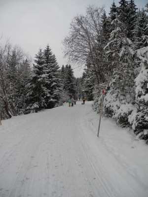 Aufstiegweg nach Sulzstich.JPG (1.23 MiB) 43542 mal betrachtet Der Forstweg zur Jausenstation Sulzstich