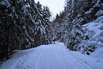 Sistranser Alm.jpg