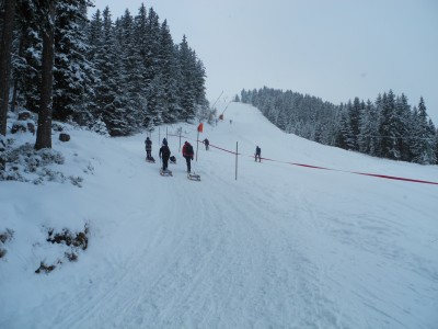 Ein Nebeneinander von Rodelbahn und Piste