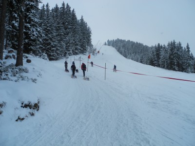 Rodelbahn_Piste_Parallel.JPG (1.06 MiB) 43537 mal betrachtet Ein Nebeneinander von Rodelbahn und Piste